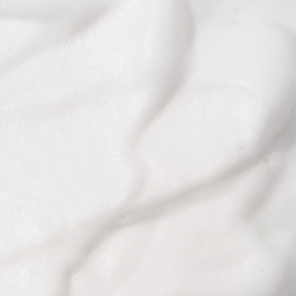 Snow Enzyme Cleanser EX