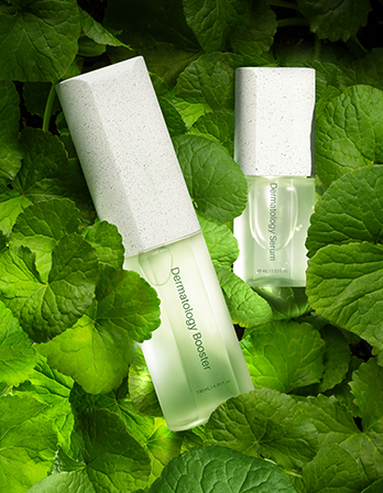 ICD Dermatology First Package