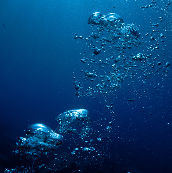 IMMEDIATELY AFTER USE REMOVE PORE-DEEP IMPURITIES SKIN REFORTIFICATION WITH PROPOLIS BIOSOME