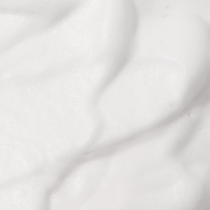Snow Enzyme Cleanser EX
