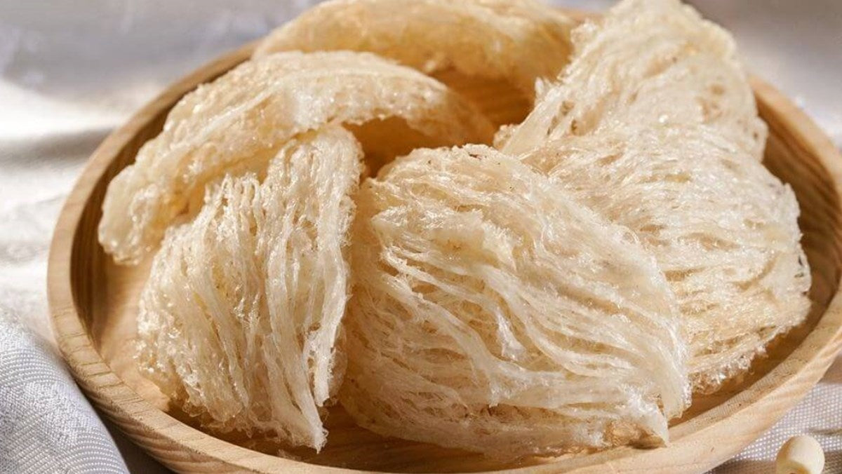 Golden Swiftlet Bird's Nest