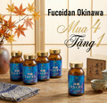 Fucoidan Okinawa Mua 4 Tặng 1