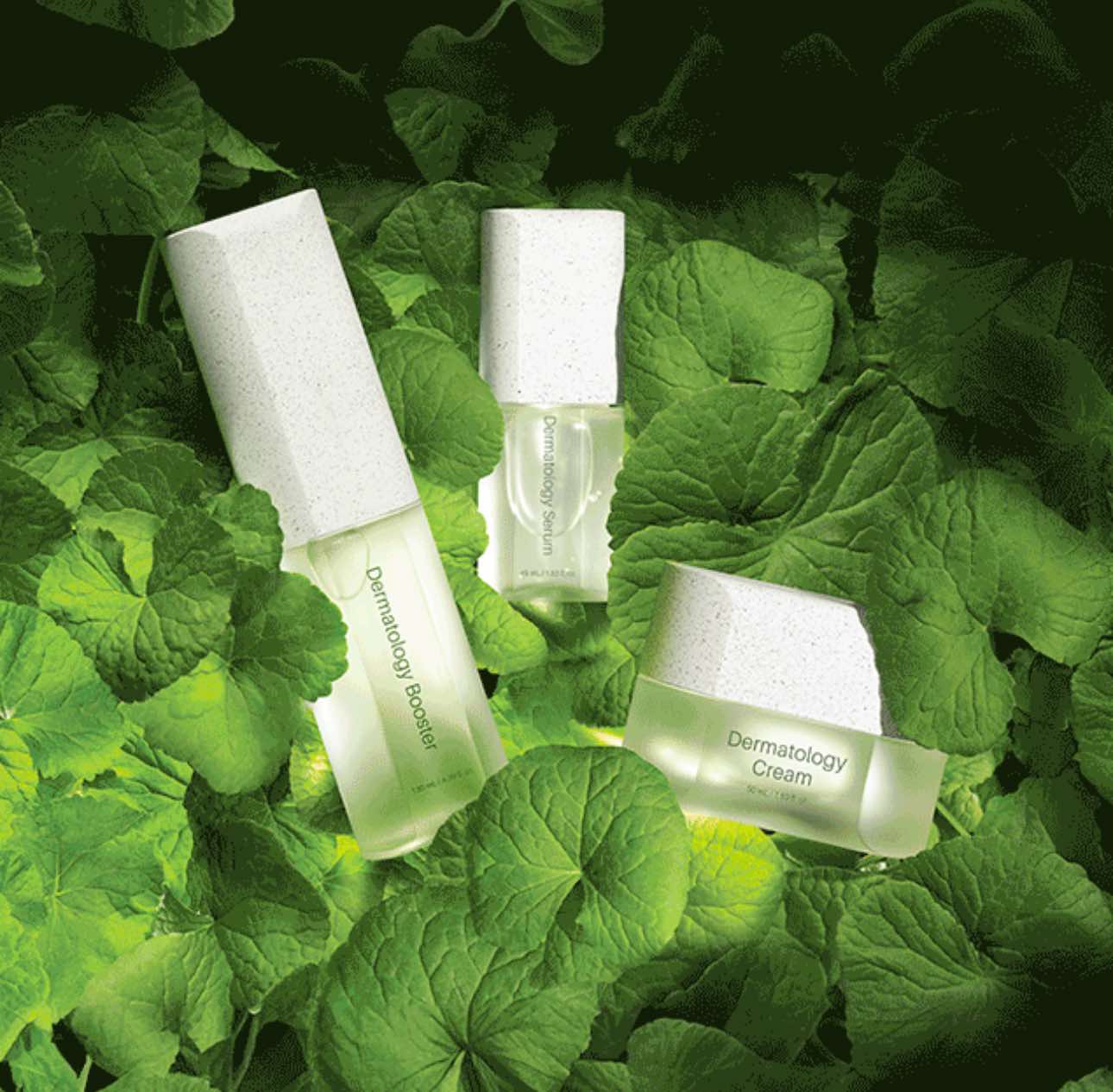 BỘ BA THẦN THÁNH - ICD DERMATOLOGY